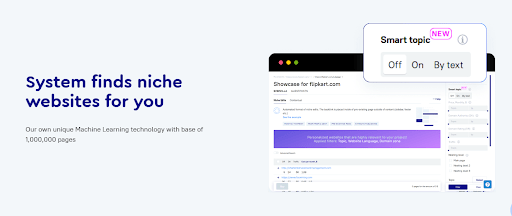 niche-website-for-backlink